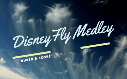 Disney Fly Medley