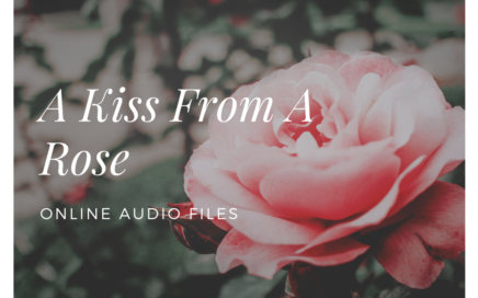 A Kiss From A Rose