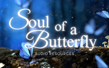 Soul of a Butterfly